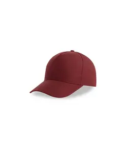 CAPPELLO VISIERA CURVA 5 PANNELLI Atlantis