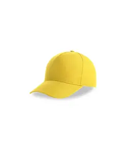 CAPPELLO VISIERA CURVA 5 PANNELLI Atlantis