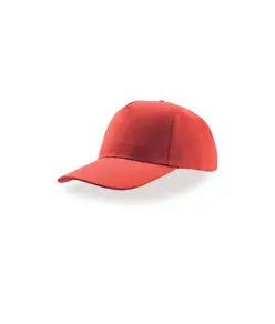 CAPPELLO VISIERA CURVA 5 PANNELLI Atlantis
