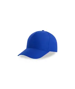 CAPPELLO VISIERA CURVA 5 PANNELLI Atlantis