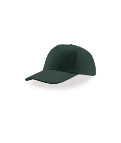 CAPPELLO VISIERA CURVA 5 PANNELLI Atlantis