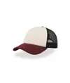 CAPPELLO VISIERA CURVA 5 PANNELLI MESH POSTERIORE Atlantis