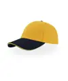 CAPPELLO VISIERA CURVA 6 PANNELLI Atlantis