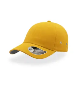 CAPPELLO VISIERA CURVA 6 PANNELLI Atlantis