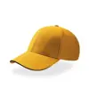CAPPELLO VISIERA CURVA 6 PANNELLI Atlantis