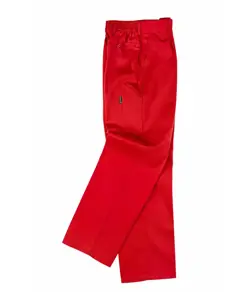 Pantalone da lavoro Workteam