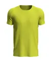 T-SHIRT UOMO MANICA CORTA SPORT Stedman