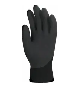 Guanti da lavoro antifreddo Coverguard Eurowinter 6610