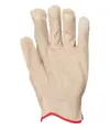 Guanti da lavoro in pelle crosta Coverguard Eurostrong 1110