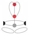 FRX - Imbracatura ignifuga Camp