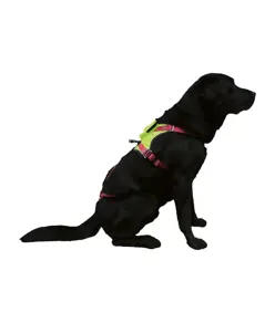 KRONOS - Imbracatura per cani Camp