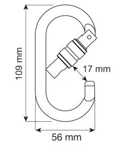 OVAL PRO LOCK - Moschettone Camp