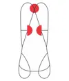 SWIFTY LIGHT - Imbracatura completa Camp