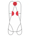 SWIFTY VEST - Imbracatura completa Camp