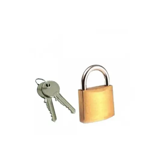 Lucchetto arco standard per barriera girevole Safemax
