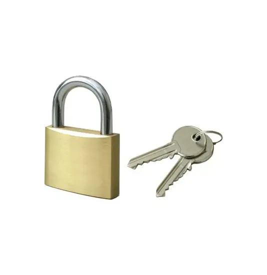 Lucchetto di sicurezza per paletti Safemax