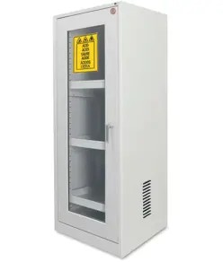 Armadio di sicurezza per lo stoccaggio di prodotti chimici  Chemicals Basic
