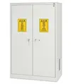 Armadio di sicurezza per lo stoccaggio di prodotti chimici  Chemicals Basic