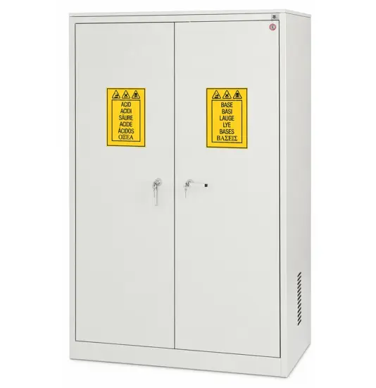 Armadio di sicurezza per lo stoccaggio di prodotti chimici  Chemicals Basic
