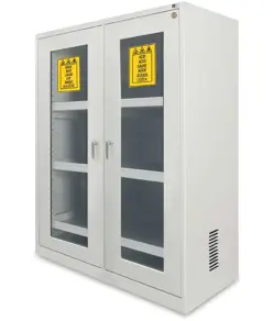 Armadio di sicurezza per lo stoccaggio di prodotti chimici  Chemicals Basic