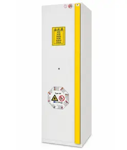 Armadio di sicurezza per prodotti infiammabili acidi e basi  Combistorage 60 fire