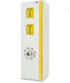 Armadio di sicurezza per prodotti infiammabili acidi e basi  Combistorage 60 fire