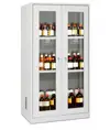 Armadio per lo stoccaggio di prodotti chimici e sostanze corrosive  Serie Cs