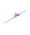 Aghi cannula a doppia via