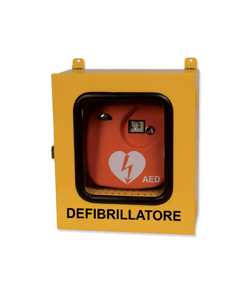 Armadietto per defibrillatori, uso esterno - dim. esterne: 43x21xh 48 cm