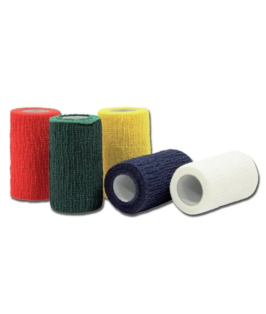 10 pezzi bende elastiche, colori misti