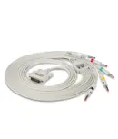 Cavo ECG veterinario