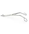 Endospeculum  Kogan