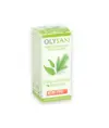 Essenza balsamica