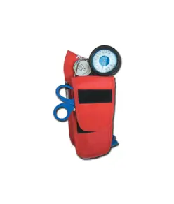 Holster