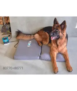 Kit base magnetoterapia veterinaria
