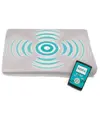 Kit base magnetoterapia veterinaria