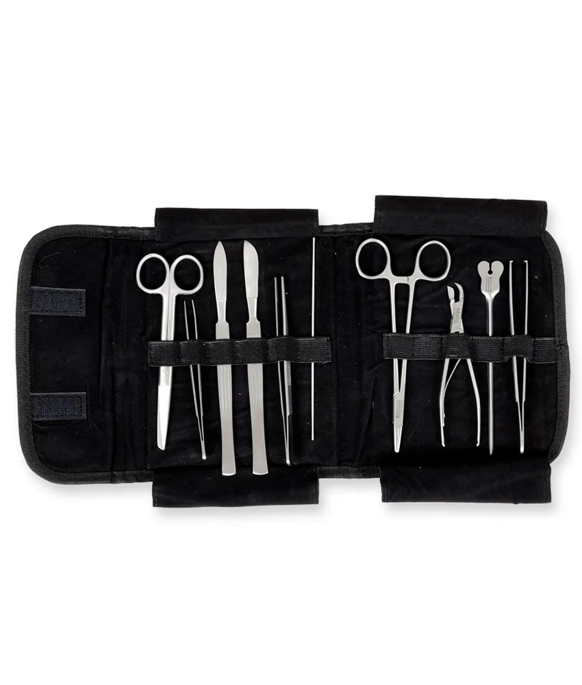 Kit di strumenti in trousse classica, borsa in poliestere - con 10 strumenti