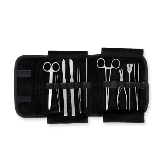Kit di strumenti in trousse classica