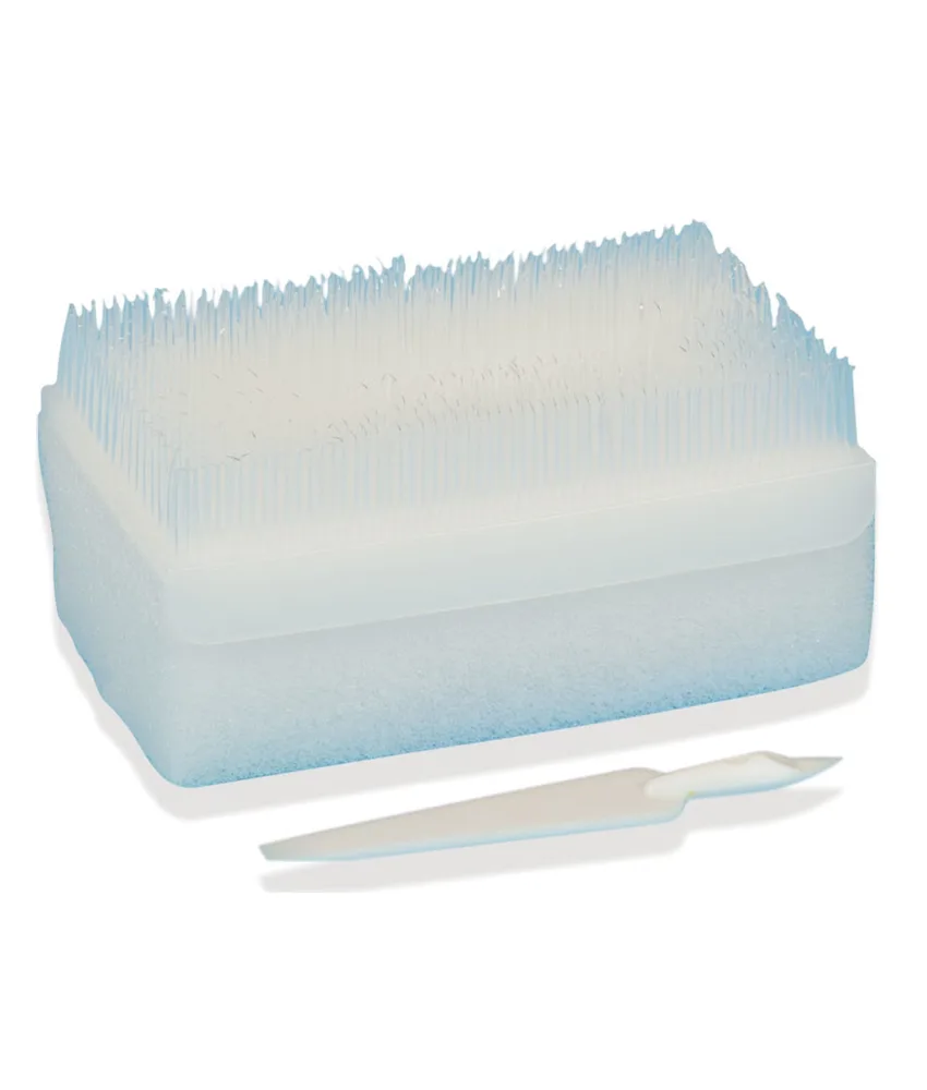 30 pezzi Kit scrub, composto da una spazzola, una spugna e un pulisci-unghie in plastica