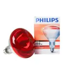 Lampadina