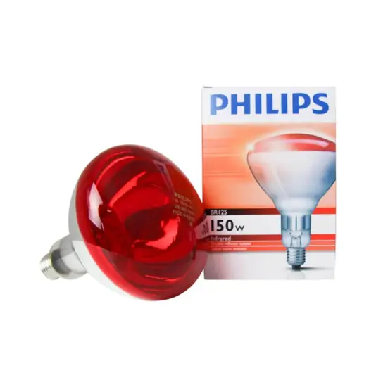 Lampadina