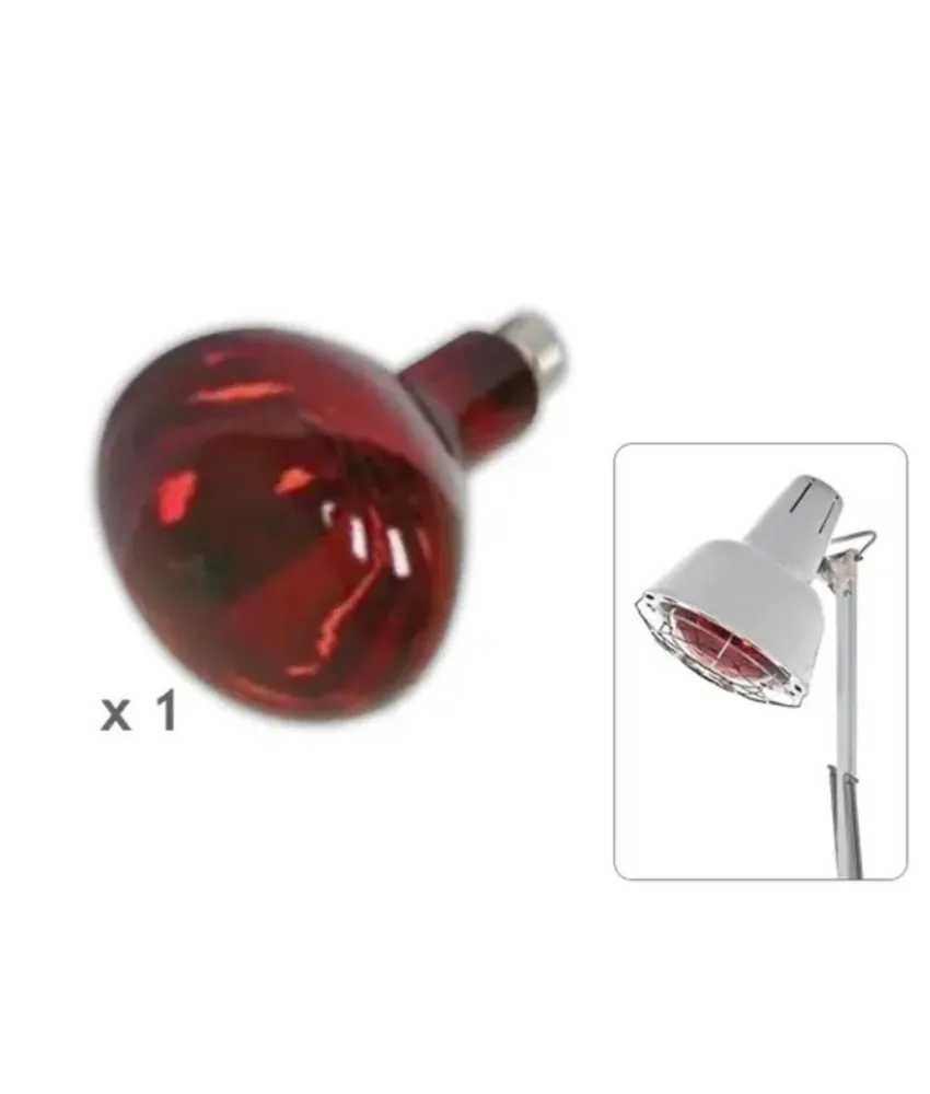 Lampadina, per codice GIM 28652