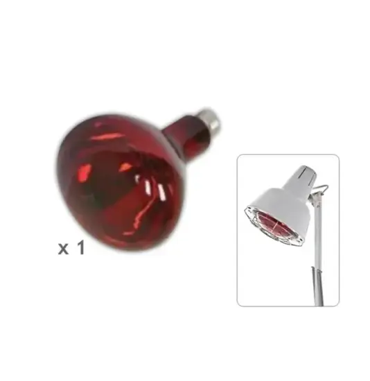 Lampadina