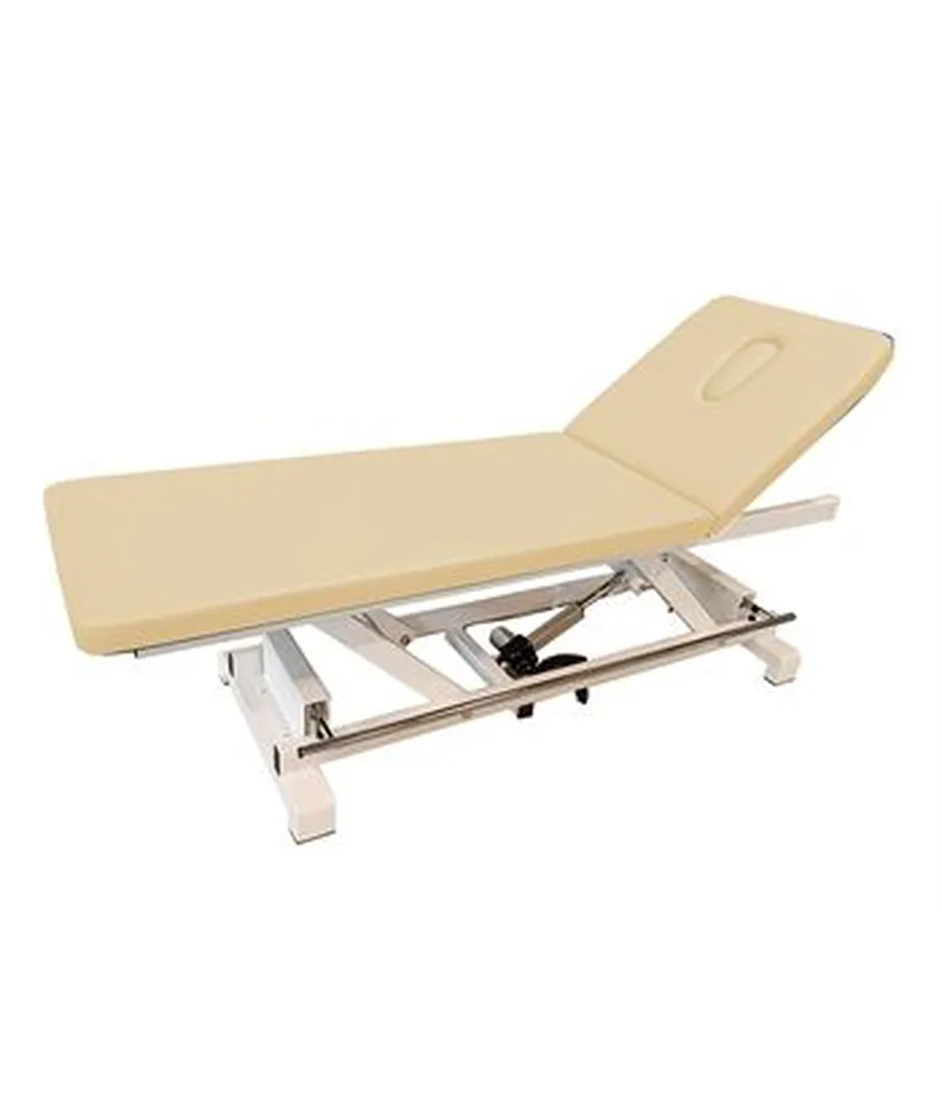 Lettino elettrico con barra perimetrale, 195x59,5xh 54-71 cm - capacità sollevamento: 135 kg