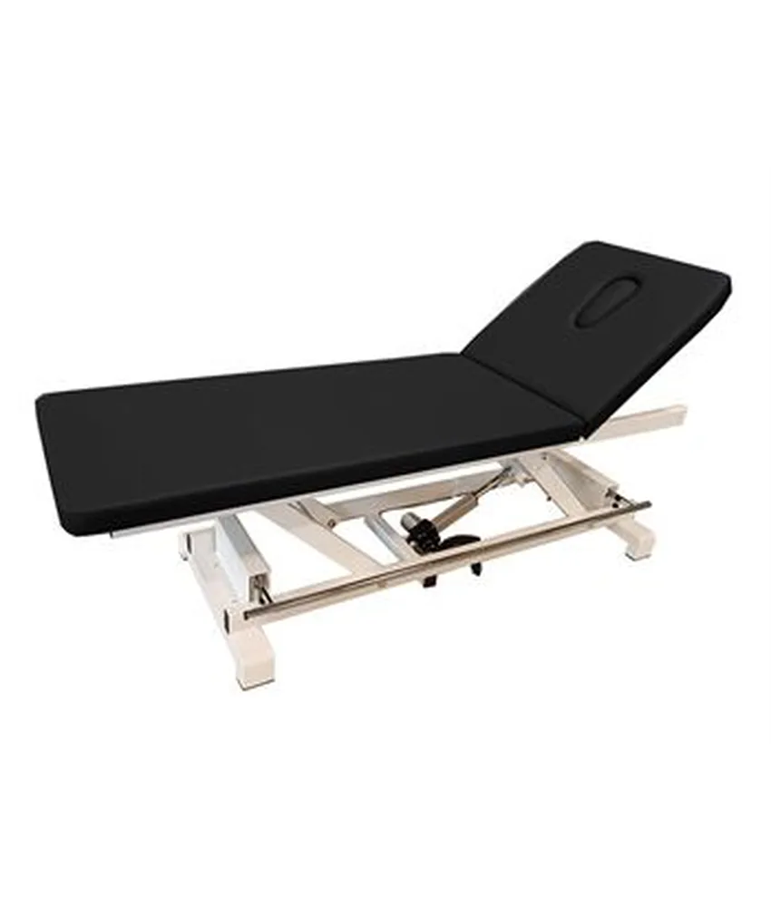 Lettino elettrico con barra perimetrale, 195x59,5xh 54-71 cm - capacità sollevamento: 135 kg