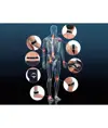 Magnetoterapia bassa frequenza
