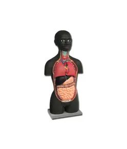 Mini torso africano