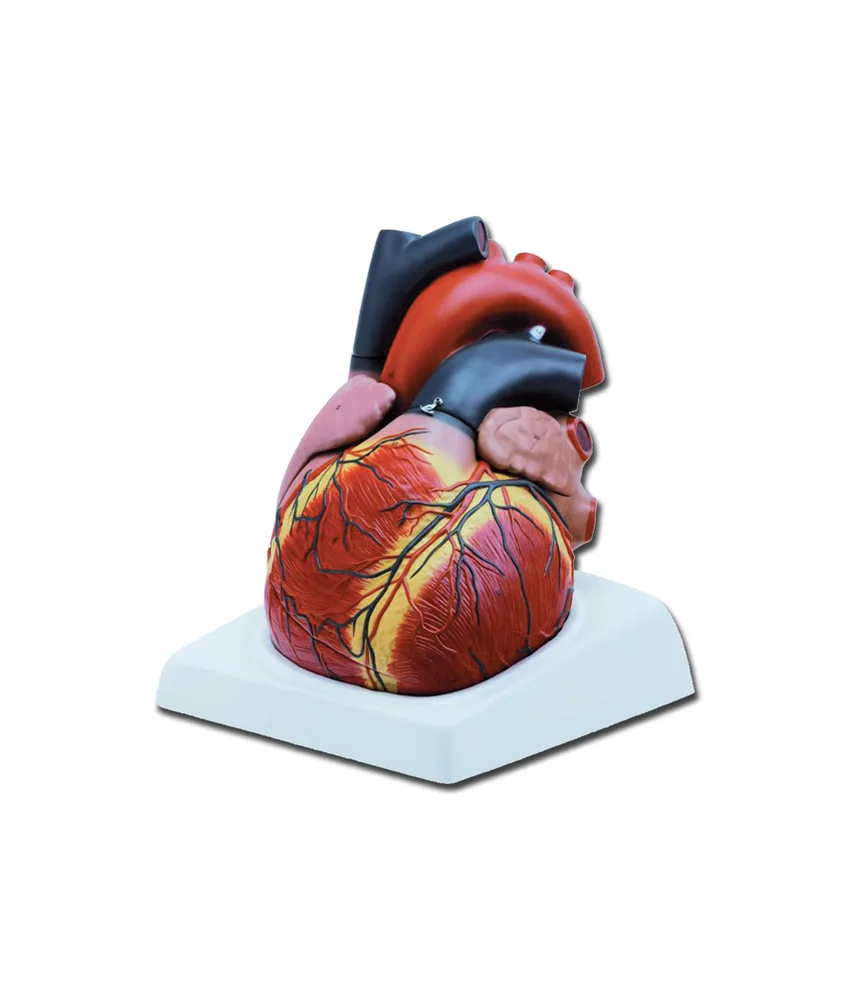 Modello cuore grande, 24 x 25 x h 28 cm