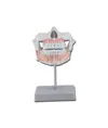 Modello denti definiti