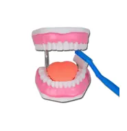 Dentale